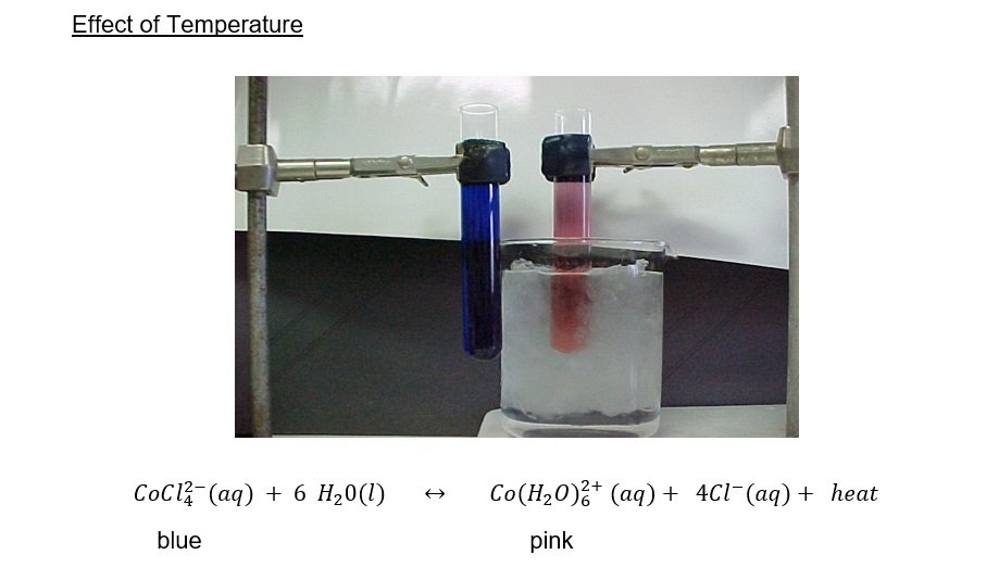 cobalt chloride le chatelier lab